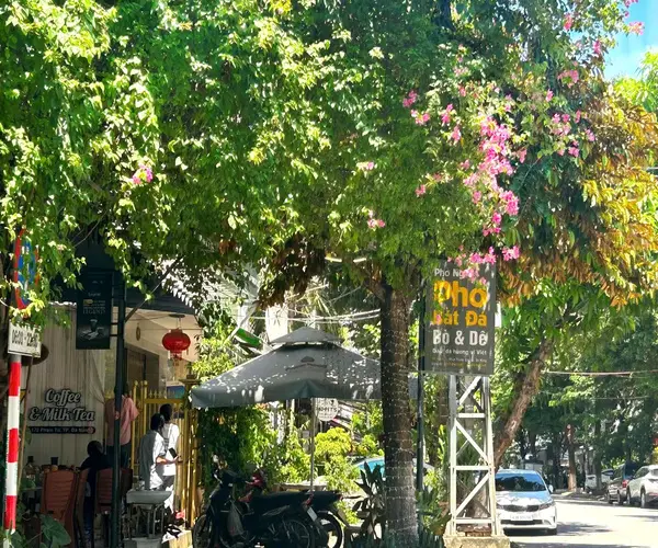 Quán phở nằm trên tuyến đường 172 Phạm Tứ Đà Nẵng